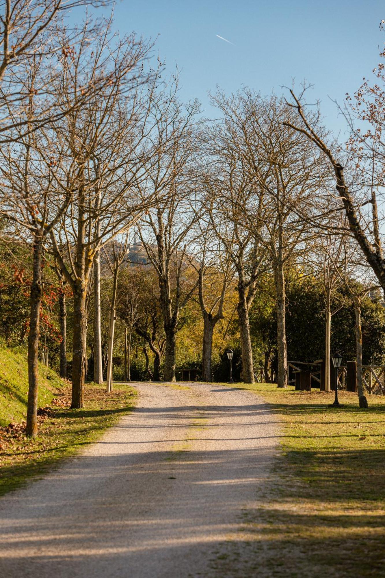 Agriturismo Le Cerque Collazzone المظهر الخارجي الصورة