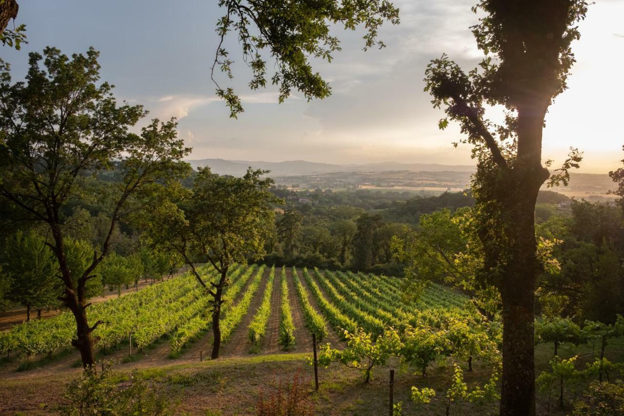 Agriturismo Le Cerque Collazzone المظهر الخارجي الصورة