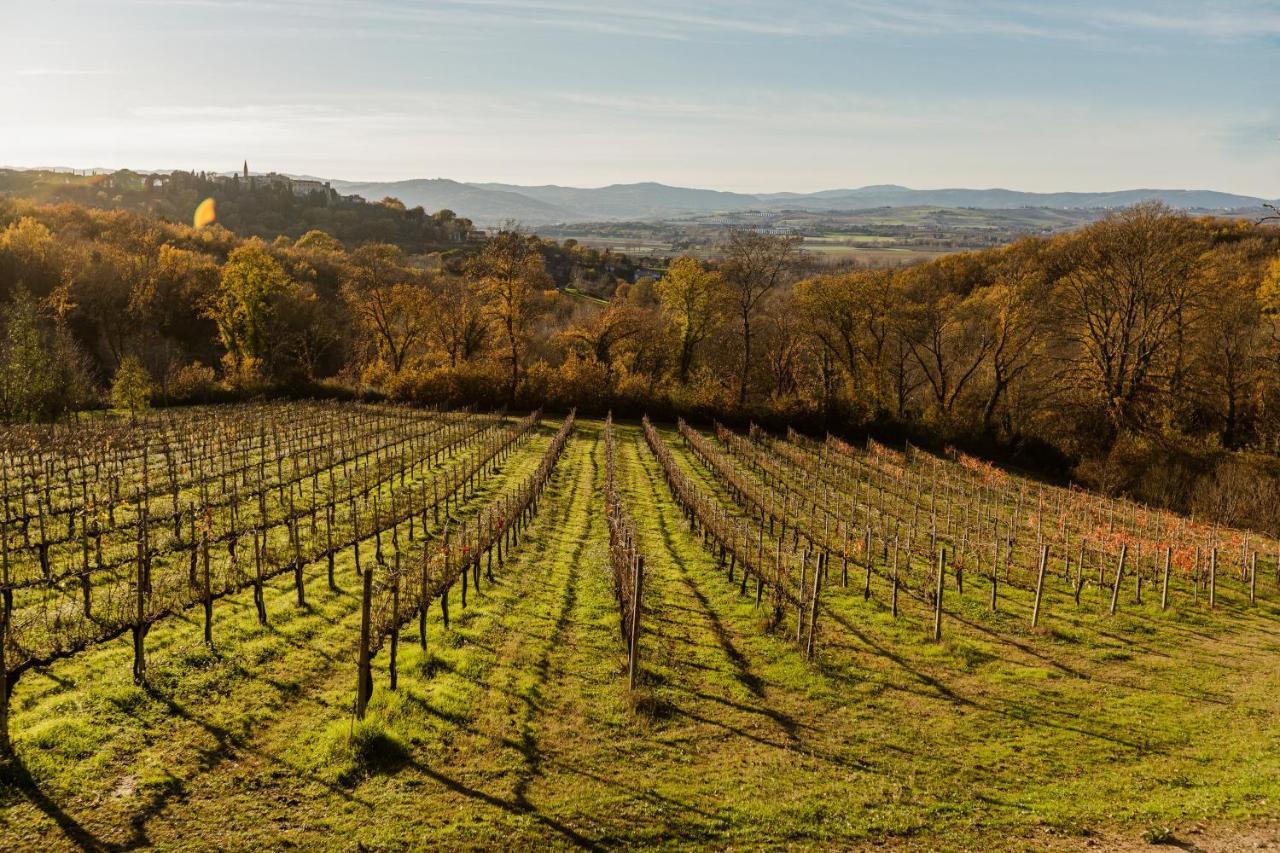 Agriturismo Le Cerque Collazzone المظهر الخارجي الصورة