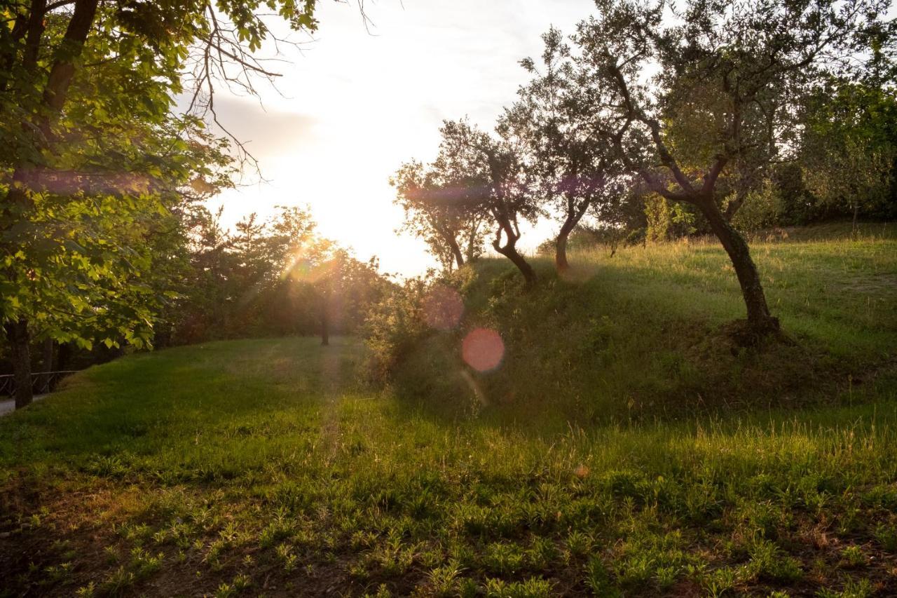 Agriturismo Le Cerque Collazzone المظهر الخارجي الصورة
